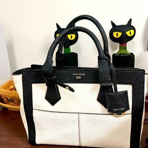 Fashionable Cole Haan Sachel